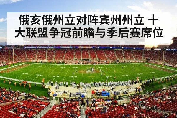 american football stadium crowd